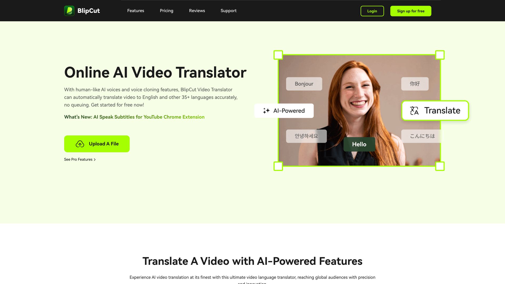 Videotranslation